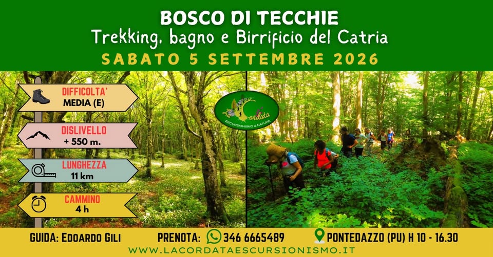 Evento BOSCO DI TECCHIE Trekking, bagno, Birrificio del Catria Locandina BOSCO DI TECCHIE Trekking, bagno, Birrificio del Catria - sabato 5 settembre ore 10:00 - 16:30
