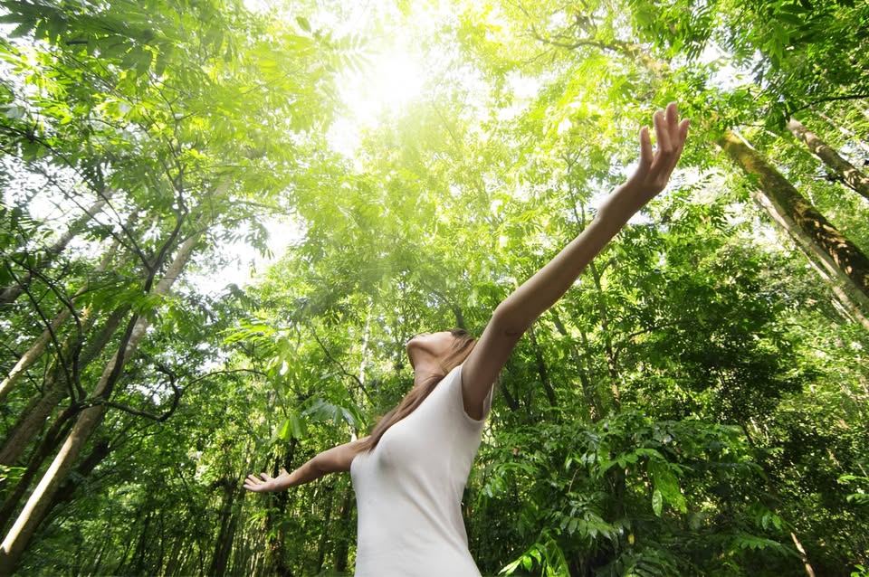 Evento Camminata Ecologica Locandina Camminata Ecologica - domenica 9 aprile ore 08:30 - 12:30