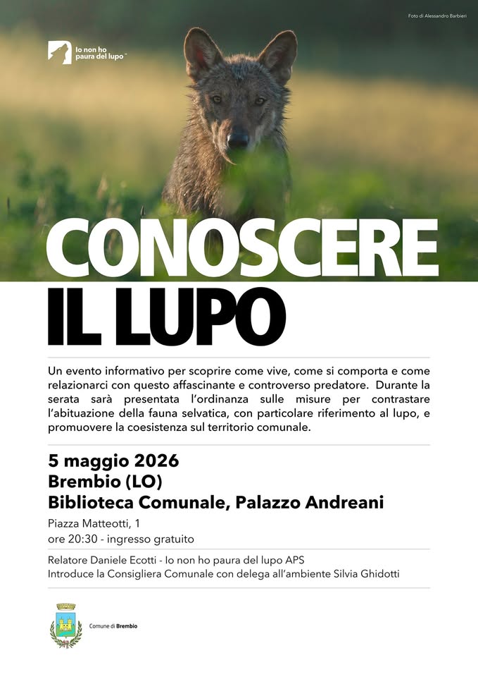 Evento Conoscere il lupo – Brembio (LO) – 5 maggio 2026 Locandina Conoscere il lupo – Brembio (LO) – 5 maggio 2026 - martedì 5 maggio ore 20:30 - 22:30