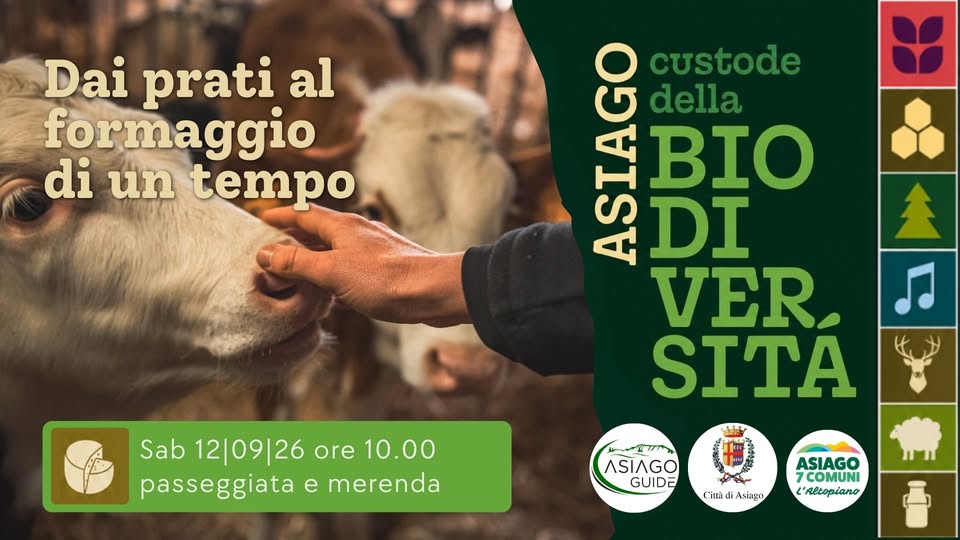 Evento Dai prati al formaggio di un tempo Locandina Dai prati al formaggio di un tempo - sabato 12 settembre ore 10:00 - 12:30