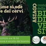 Immagine evento Dalle Cime si ode l’amore dei cervi a Asiago (VI) Dalle Cime si ode l'amore dei cervi a Asiago (VI) il 26 settembre 2026