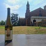Immagine evento De mensura potus i colori del vino a San Donato Milanese (MI) No photo description available.