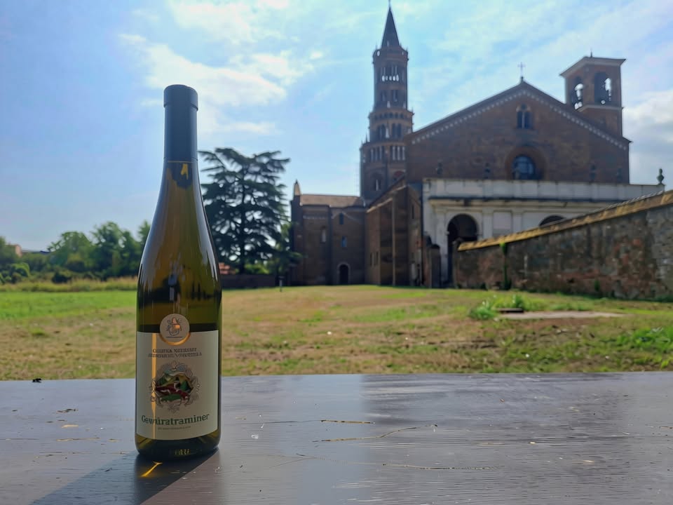 Evento De mensura potus i colori del vino Locandina De mensura potus i colori del vino - domenica 18 ottobre ore 10:45 - 13:30