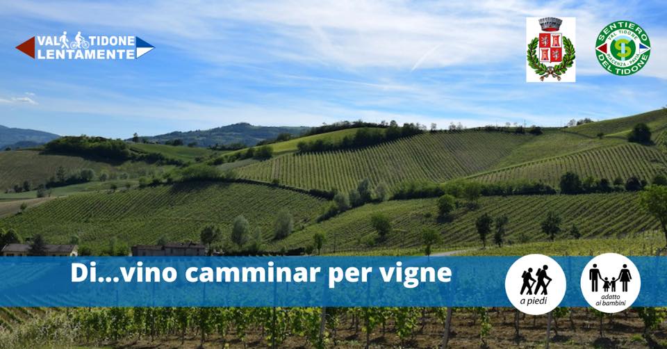 Evento Di…vino camminar per vigne Locandina Di…vino camminar per vigne - domenica 2 ottobre ore 09:30 - 13:00