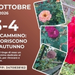 Immagine evento Donne In Cammino Le Rose Fioriscono Anche In Autunno a Finale Ligure (SV) Donne In Cammino Le Rose Fioriscono Anche In Autunno a Finale Ligure (SV) il 2 ottobre 2026