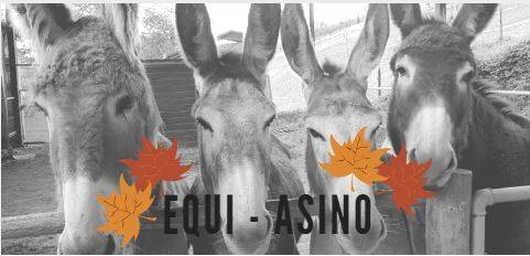 Evento Equi – ASINO Festa d’Autunno Locandina Equi – ASINO Festa d’Autunno - domenica 23 settembre ore 14:30 - 18:30