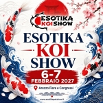 Immagine evento Esotika Koi Show 2027 a Arezzo (AR) Esotika Koi Show 2027 a Arezzo (AR) il 6 febbraio 2027