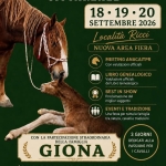Immagine evento FESTA Cavalli 2026 a Cittareale (RI) FESTA Cavalli 2026 a Cittareale (RI) il 18 settembre - 20 settembre 2026