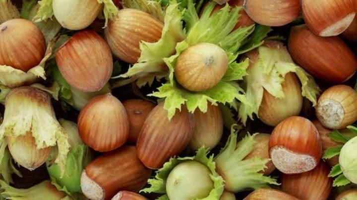Evento Festa della Nocciola. Baiano (AV) Locandina Festa della Nocciola. Baiano (AV) - da venerdì 11 settembre - domenica 13 settembre 2026 ore 19:30 ore 23:59