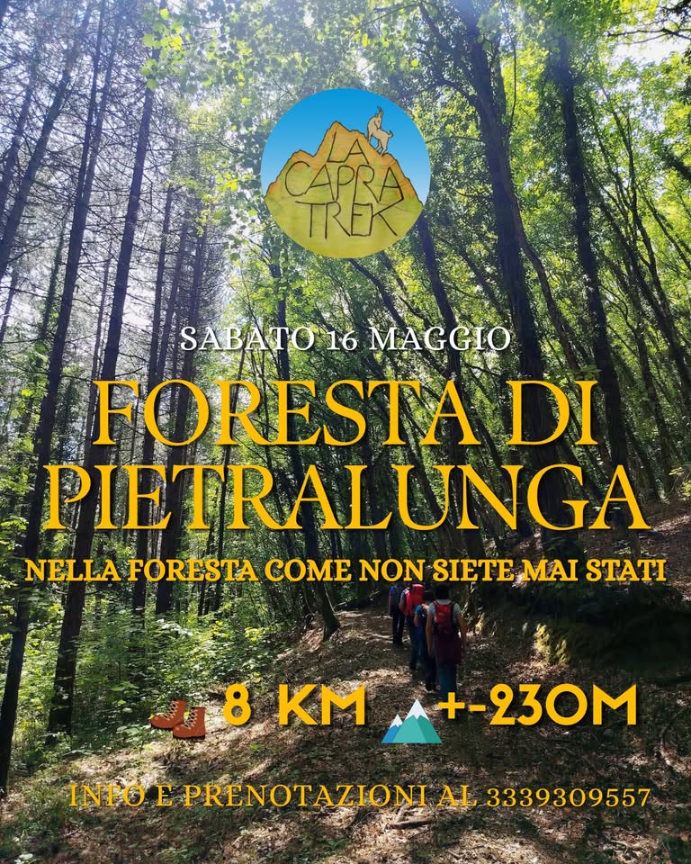 Evento Foresta di Pietralunga. Primaverile girovagare Locandina Foresta di Pietralunga. Primaverile girovagare - sabato 16 maggio ore 09:30 - 11:30