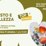 Immagine evento Gusto e bellezza a Tramonti di Sotto Gusto e bellezza a Tramonti di Sotto il 11 ottobre 2026