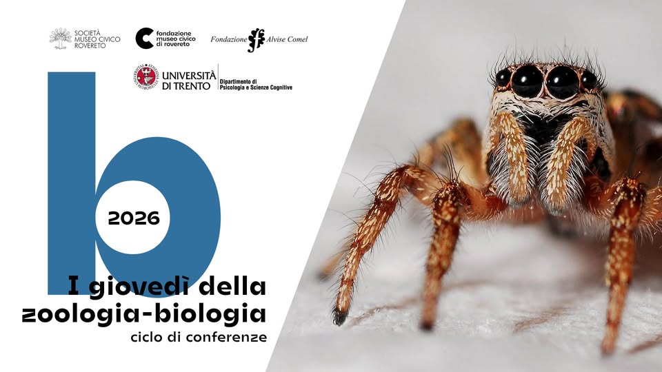 Evento I giovedì della zoologia – biologia 2026 Locandina I giovedì della zoologia – biologia 2026 - da giovedì 7 maggio - giovedì 21 maggio 2026 ore 18:00