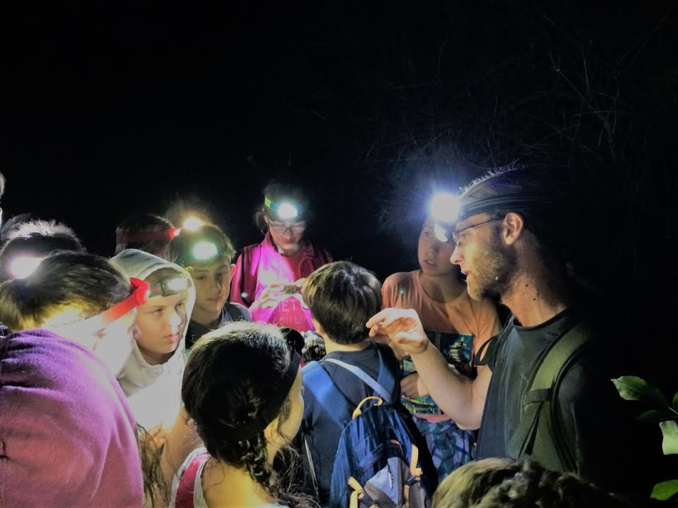 Evento Il Bosco di Notte Locandina Il Bosco di Notte - da venerdì 15 aprile - venerdì 30 settembre 2022 ore 20:00 ore 23:00