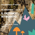 Immagine evento Il delfino ritrovato a Meduno Il delfino ritrovato a Meduno il 13 settembre 2026