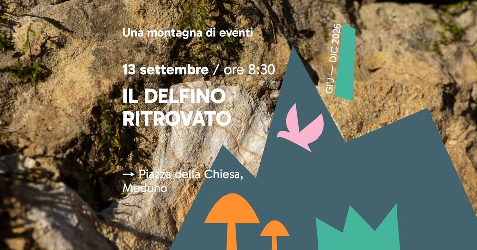 Evento Il delfino ritrovato Locandina Il delfino ritrovato - domenica 13 settembre ore 08:30 - 10:30