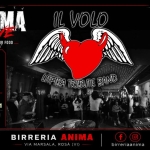 Immagine evento IL VOLO – Litfiba Tribute @ANIMA (Cena Live) a Rosà (VI) IL VOLO - Litfiba Tribute @ANIMA (Cena Live) a Rosà (VI) il 11 settembre 2026