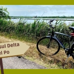 Immagine evento In bici sul Delta del Po a Mesola (FE) No photo description available.