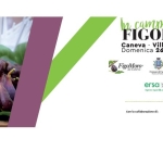 Immagine evento In campagna col FigoMoro – Domenica 26 Agosto 2018 a Caneva No photo description available.