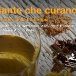 Immagine evento Le piante che curano. Pratiche e saperi della fitoterapia a Trento (TN) Le piante che curano. Pratiche e saperi della fitoterapia a Trento (TN) il 12 luglio luglio - 20 settembre 2026