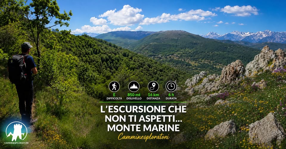Evento L’Escursione che non ti aspetti… Monte Marine Locandina L’Escursione che non ti aspetti… Monte Marine - domenica 13 settembre ore 09:00 - 11:00