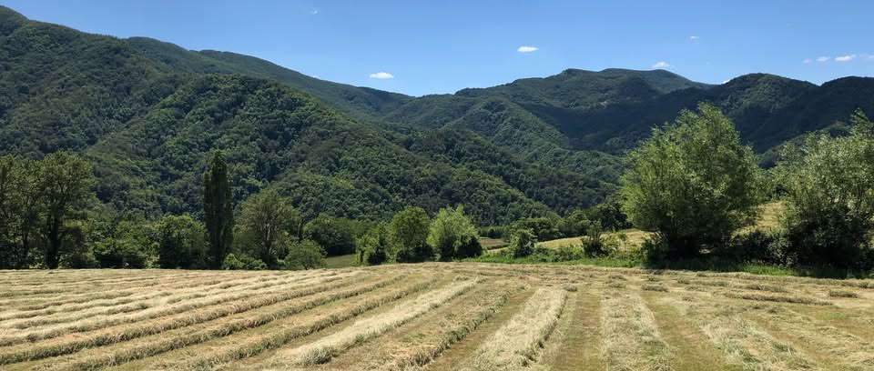 Evento Lungo le antiche vie Locandina Lungo le antiche vie - da sabato 4 luglio - domenica 5 luglio 2020 ore 09:30 ore 17:00
