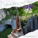 Immagine evento Malnisio – Giais, Il Viaggio Dell’acqua a Montereale Valcellina Malnisio - Giais, Il Viaggio Dell'acqua a Montereale Valcellina il 4 ottobre 2026