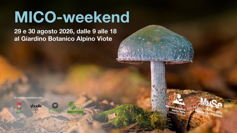 Evento MICO – weekend Locandina MICO – weekend - da sabato 29 agosto - domenica 30 agosto 2026 ore 09:00 ore 18:00