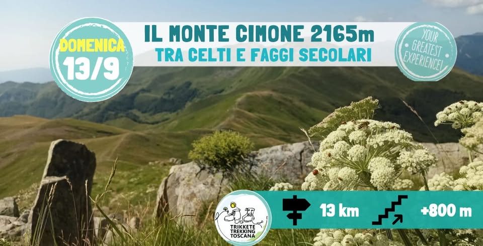 Evento Monte Cimone 2165m – “Tetto” d’Emilia tra celti e faggi secolari Locandina Monte Cimone 2165m – “Tetto” d’Emilia tra celti e faggi secolari - domenica 13 settembre ore 09:40 - 11:40
