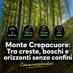 Immagine evento Monte Crepacuore Tra creste, boschi e orizzonti senza confini a Guarcino (FR) Monte Crepacuore Tra creste, boschi e orizzonti senza confini a Guarcino (FR) il 30 settembre 2026