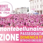 Immagine evento Montebelluna In Rosa – 5° Edizione a Montebelluna (TV) No photo description available.