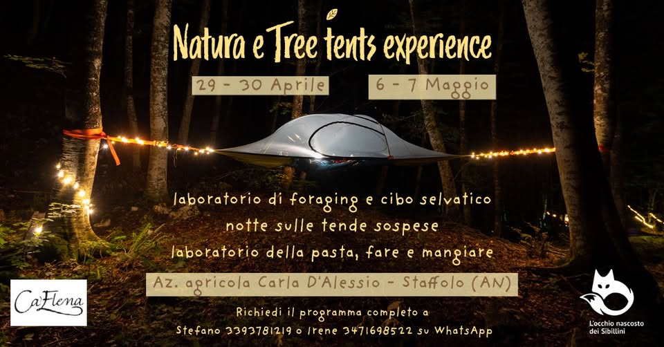 Evento Natura e Tree tents experience Locandina Natura e Tree tents experience - da sabato 29 aprile - domenica 30 aprile 2023 ore 15:30