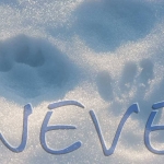 Immagine evento Neve – la magia di un incontro tè e parola a Montegrotto Terme (PD) No photo description available.