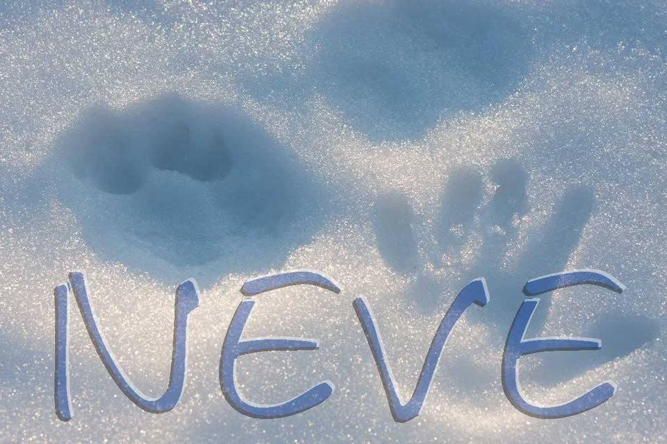 Evento Neve – la magia di un incontro tè e parola Locandina Neve – la magia di un incontro tè e parola - mercoledì 13 dicembre ore 20:30 - 22:00