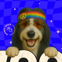 Foto di Woofstock.it Immagine di Woofstock.it