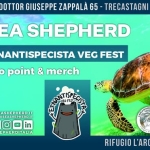 Immagine evento Sea Shepherd – Infopoint e Merch a ETNANTISPECISTA – Presso L’Arca di Natalia – Trecastagni (CT) 4 – 5/07 a Trecastagni (CT) Sea Shepherd - Infopoint e Merch a ETNANTISPECISTA - Presso L'Arca di Natalia - Trecastagni (CT) 4 - 5/07 a Trecastagni (CT) il 4 luglio - 5 luglio 2026