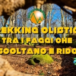 Immagine evento Tra I Faggi Che Ascoltano E Ridono Trekking Olistico Dei 4 Elementi a Soriano nel Cimino (VT) Tra I Faggi Che Ascoltano E Ridono Trekking Olistico Dei 4 Elementi a Soriano nel Cimino (VT) il 5 settembre 2026