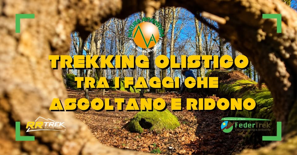 Evento Tra I Faggi Che Ascoltano E Ridono Trekking Olistico Dei 4 Elementi Locandina Tra I Faggi Che Ascoltano E Ridono Trekking Olistico Dei 4 Elementi - sabato 5 settembre ore 09:30 - 11:30