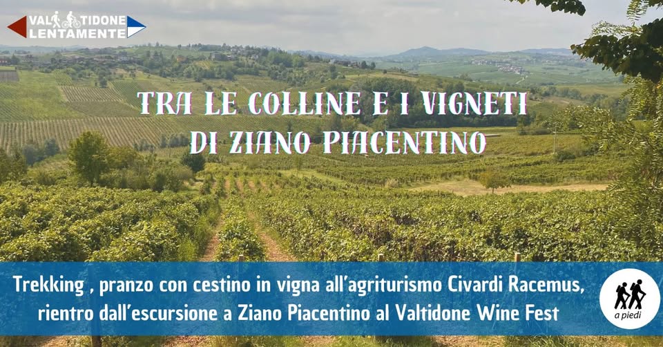 Evento Tra le Colline e i Vigneti di Ziano Piacentino Locandina Tra le Colline e i Vigneti di Ziano Piacentino - domenica 8 settembre ore 09:30 - 11:30