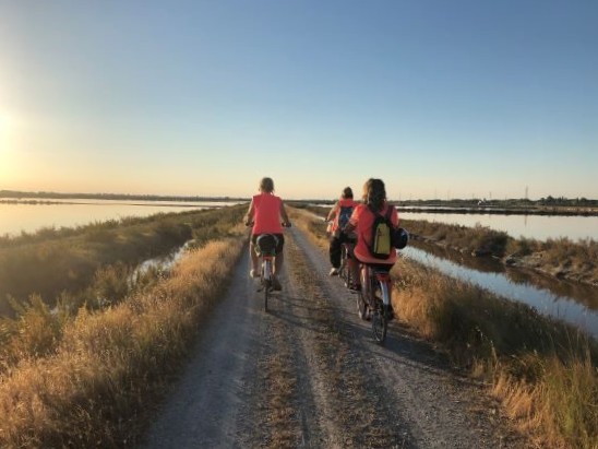 Evento Tramonto in bicicletta Locandina Tramonto in bicicletta - da sabato 11 luglio - sabato 29 agosto 2026 ore 19:45 ore 20:45