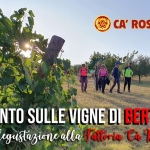 Immagine evento Tramonto sulle vigne di Bertinoro (con degustazione alla Cà Rossa) a Bertinoro (FC) Tramonto sulle vigne di Bertinoro (con degustazione alla Cà Rossa) a Bertinoro (FC) il 29 agosto 2026
