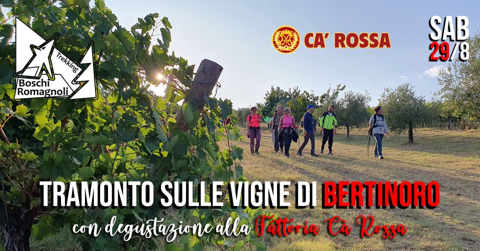 Evento Tramonto sulle vigne di Bertinoro (con degustazione alla Cà Rossa) Locandina Tramonto sulle vigne di Bertinoro (con degustazione alla Cà Rossa) - sabato 29 agosto ore 15:00 - 17:00