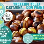 Immagine evento Trekking della Castagna con Pranzo al Bivacco delle Pizzorne! a Villa Basilica (LU) Trekking della Castagna con Pranzo al Bivacco delle Pizzorne! a Villa Basilica (LU) il 17 ottobre 2026