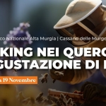 Immagine evento Trekking Nei Querceti E Degustazione Di Mieli a Cassano delle Murge (BA) No photo description available.