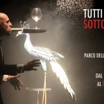 Immagine evento Tutti Matti sotto Zero 19/20 – rassegna di circo contemporaneo a Parma (PR) No photo description available.