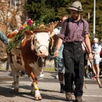 Immagine evento Valdidentro Mountain Feast ‘Al dì de la Bronza’ a Valdidentro (SO) Valdidentro Mountain Feast 'Al dì de la Bronza' a Valdidentro (SO) il 19 settembre 2026