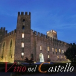Immagine evento Vino Nel Castello 2/3/4 Ottobre Montagnana (PD) a Montagnana (PD) No photo description available.