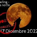 Immagine evento Wolf Howling – Lupi nella notte a Rufina (FI) No photo description available.