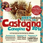 Immagine evento XXXV edizione ” Le Giornate della Castagna 2016″ a Canepina (VT) No photo description available.