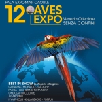 Immagine evento 12° Aves Expo a Caorle (VE) 12° Aves Expo a Caorle (VE) il 14 ottobre - 18 ottobre 2026