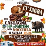 Immagine evento 13a Sagra della castagna IGP del Partenio e della nocciola di Avella a Avella (AV) 13a Sagra della castagna IGP del Partenio e della nocciola di Avella a Avella (AV) il 16 ottobre - 18 ottobre 2026
